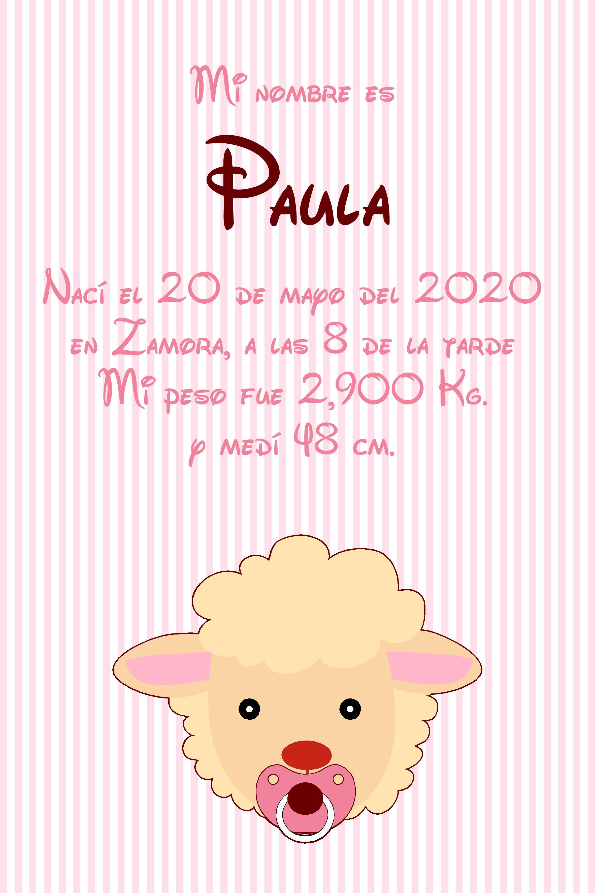 lamina enmarcada oveja