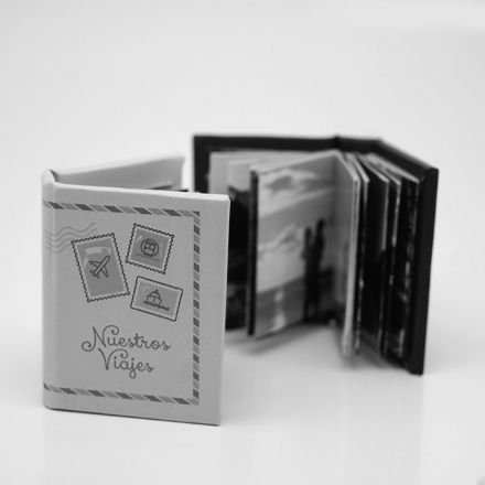Mini libro